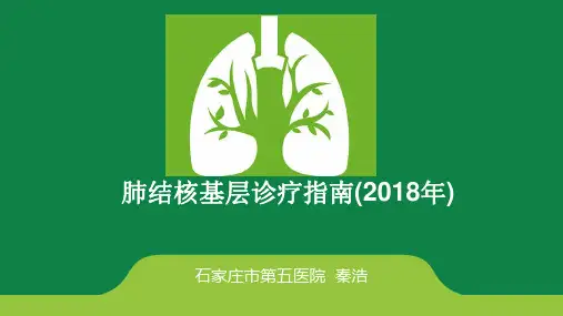最新最新肺结核基层诊疗指南(2018年)
