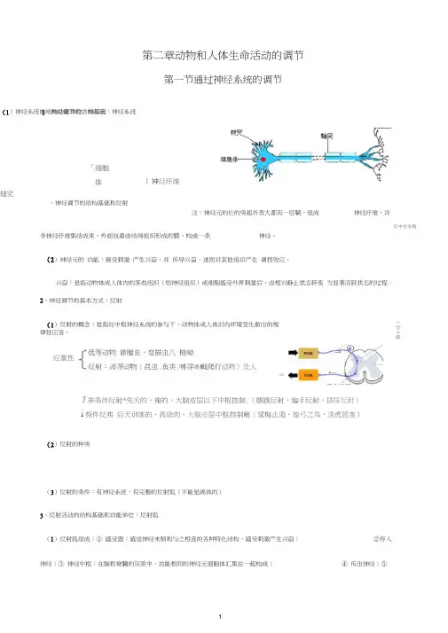 必修3第二章--动物和人体生命活动的调节(知识点)