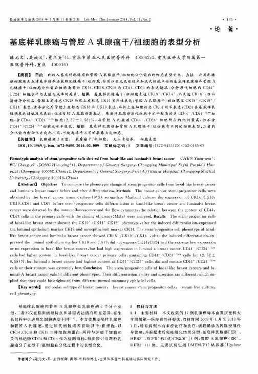 基底样乳腺癌与管腔A乳腺癌干／祖细胞的表型分析