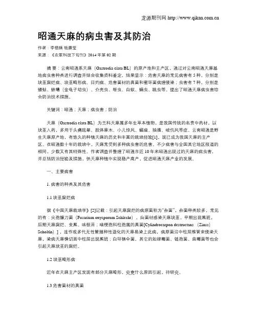 昭通天麻的病虫害及其防治