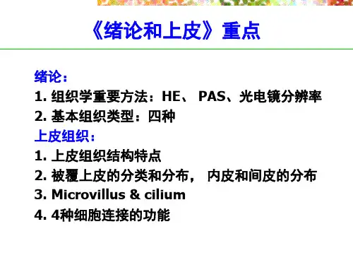 组胚学习和考试辅导