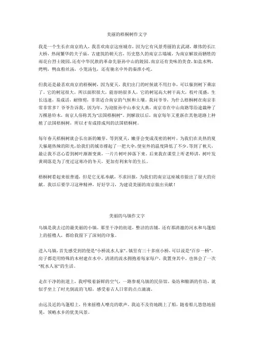 美丽的乌镇作文300字