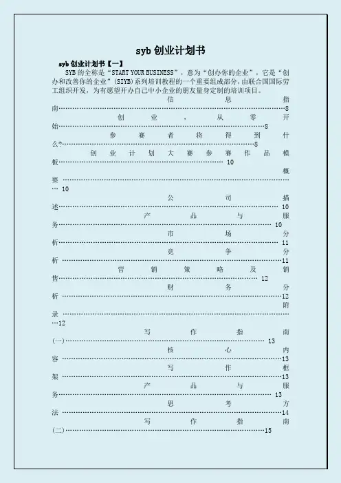 syb创业计划书