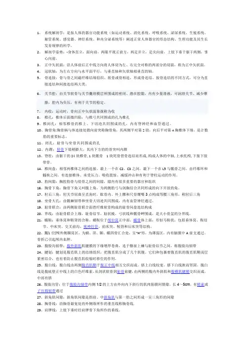 系统解剖名词解释