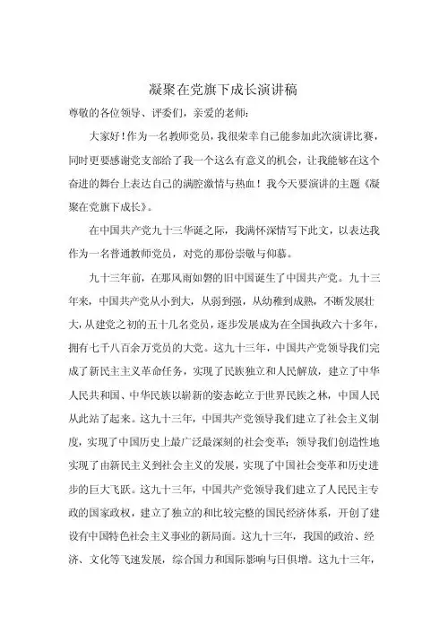凝聚在党旗下成长演讲稿1