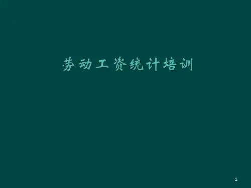 劳动工资主要指标解释ppt课件