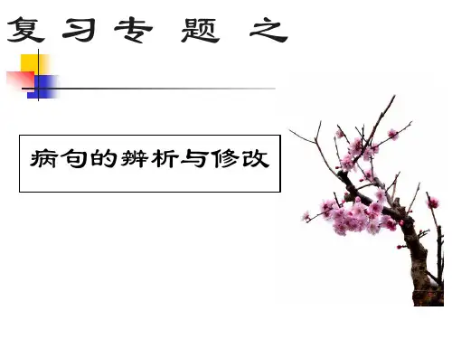 2020年中考语文专题复习：病句的辨析与修改课件
