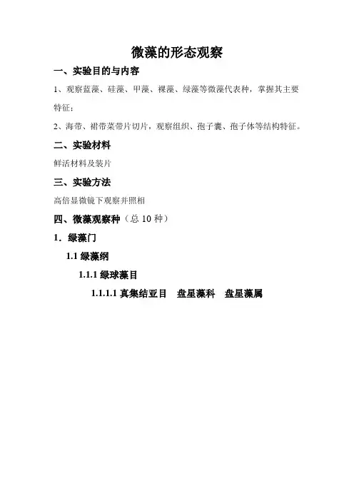 微藻的形态观察