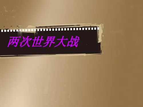 两次世界大战专题复习