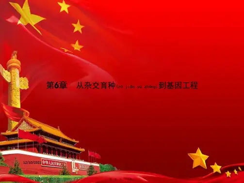 高中生物 第6章 从杂交育种到基因工程 6.1 杂交育种与诱变育种课件 高一生物课件
