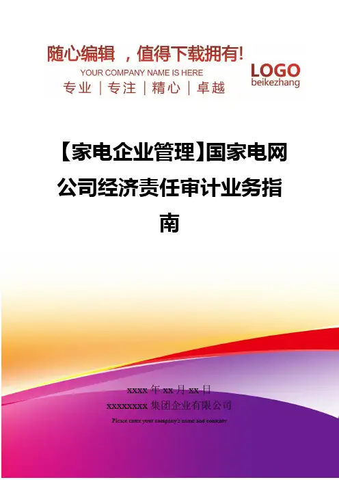 精编【家电企业管理】国家电网公司经济责任审计业务指南