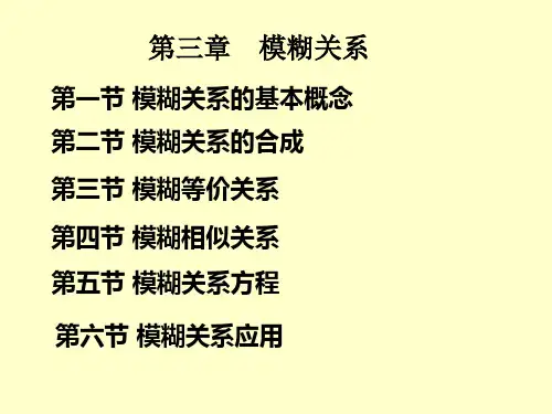 博士模糊数学第三章