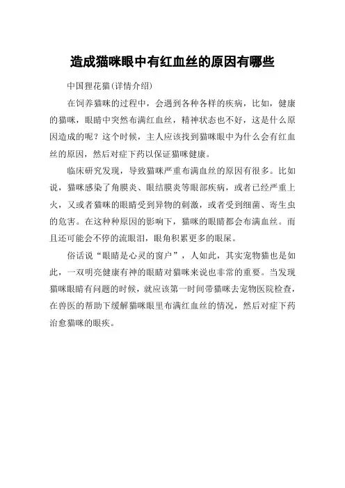 造成猫咪眼中有红血丝的原因有哪些