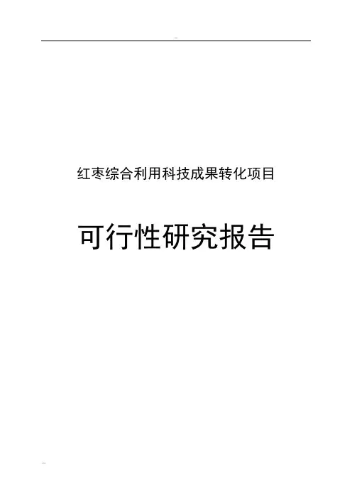 红枣综合利用科技成果转化项目可行性研究报告