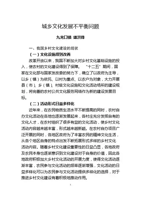 谭洪锋-城乡文化发展不平衡问题