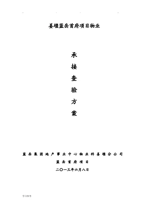 项目承接查验方案