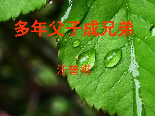 多年父子成兄弟课文讲解及练习