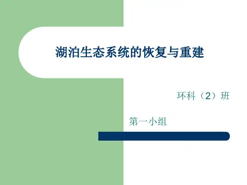 湖泊生态系统的修复