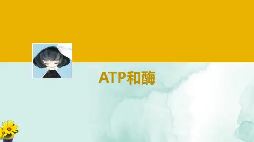 高三生物一轮复习优质课件4:ATP和酶