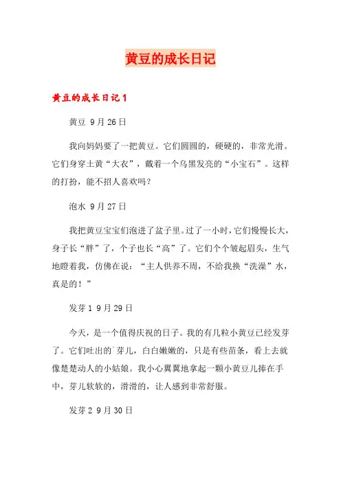 黄豆的成长日记