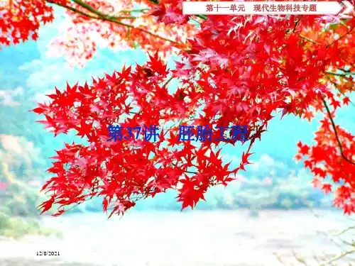 高考生物总复习 第十一单元 现代生物科技专题 第37讲 胚胎工程课件 