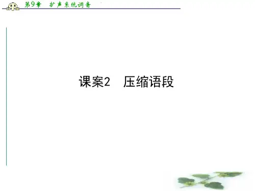 高三新课标卷语文二轮专题复习课件：专题11 课案2 压缩语段