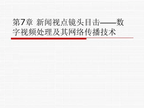 网络传播技术与实务ppt (6)[31页]