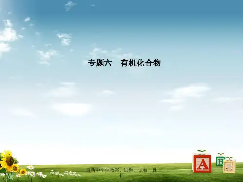 高考化学二轮复习 专题六 有机化合物课件