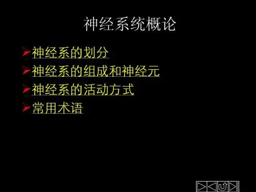神经系统概论