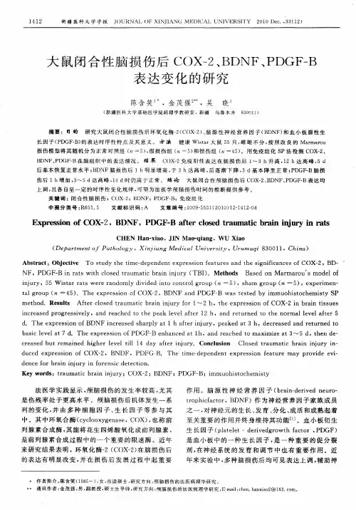 大鼠闭合性脑损伤后COX-2、BDNF、PDGF-B表达变化的研究