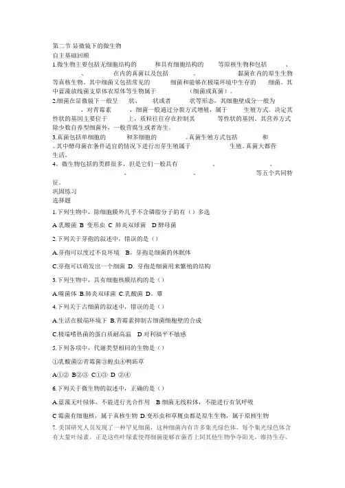 显微镜下的微生物 3