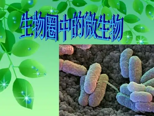 3生物生物圈中的微生物