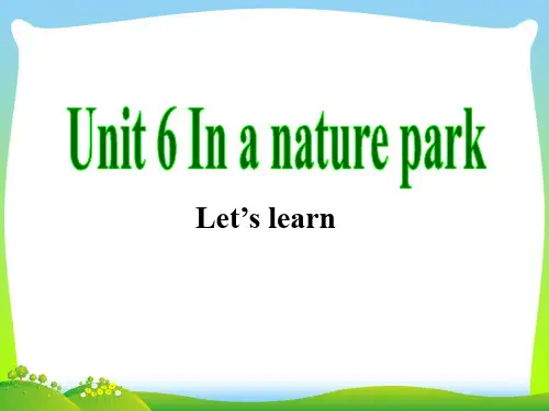 PEP新版五年级上册Unit6 In a nature park第一课时课件