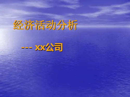 某公司经济活动分析PPT模板