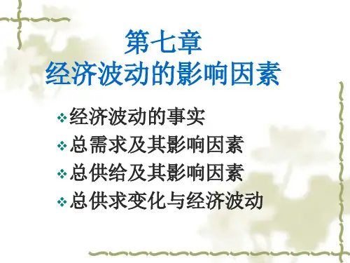 经济学导论第七章PPT课件