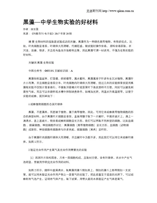 黑藻—中学生物实验的好材料