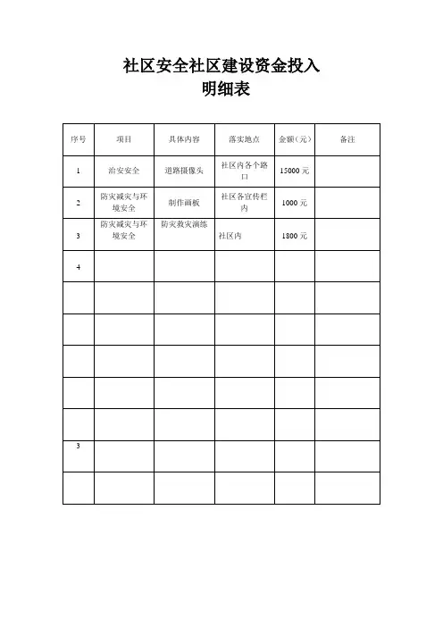 4.项目投入资金明细表
