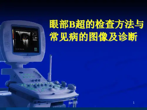 眼部B超常见病的图像及诊断  ppt课件