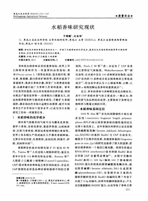 水稻香味研究现状