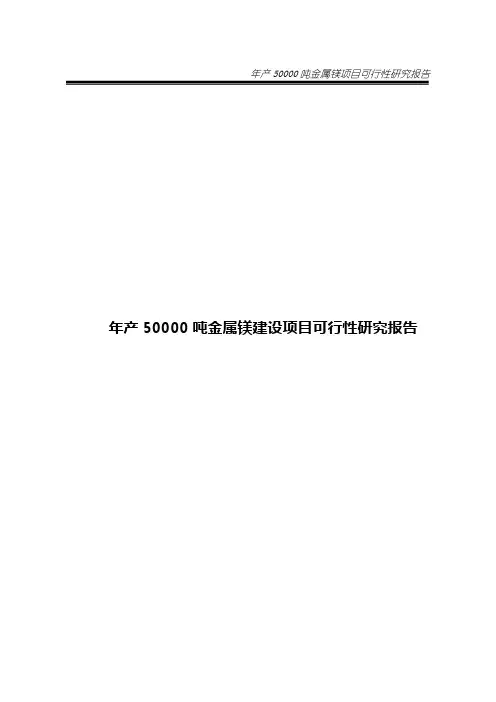 金属镁建设项目可行性研究报告