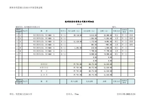 公司账目明细表