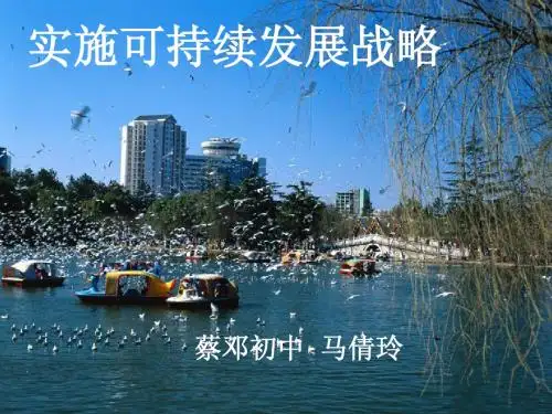 可持续发展战略