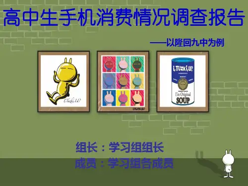 高中生使用手机情况调查报告