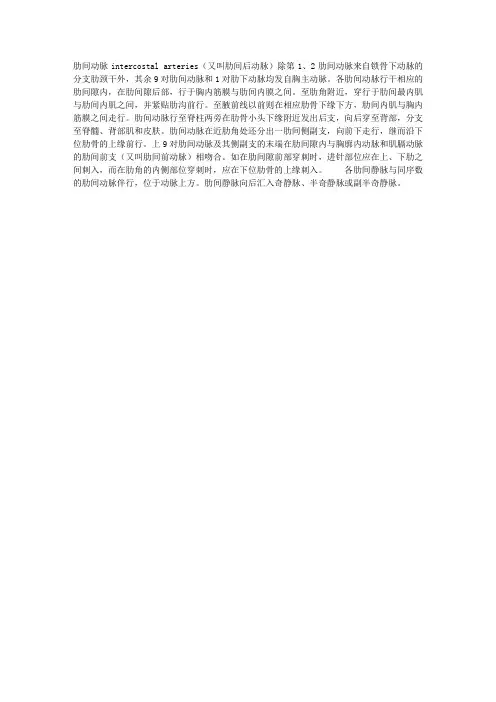 肋间动脉结构与解剖简述