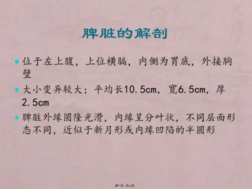 脾脏常见疾病CT诊断
