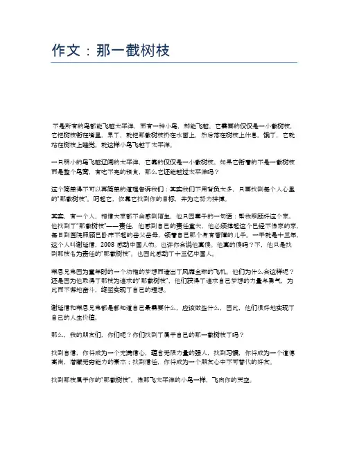 作文：那一截树枝