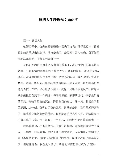 感悟人生精选作文800字