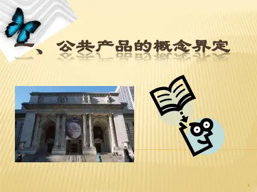 公共财政学公共物品案例分析ppt课件