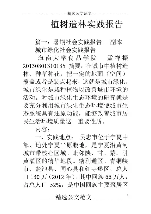 植树造林实践报告