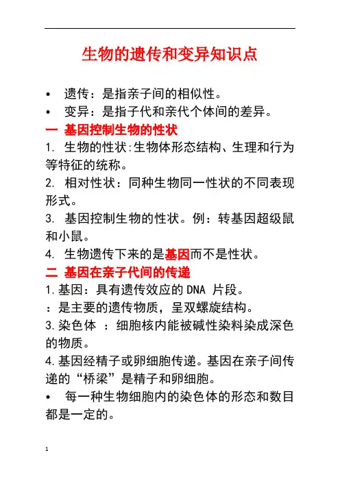 生物的遗传和变异知识点 2